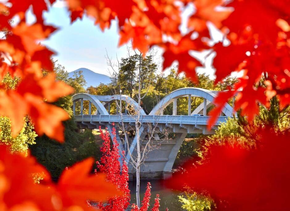 Bear Mountain - Suite 7 Grants Pass Dış mekan fotoğraf