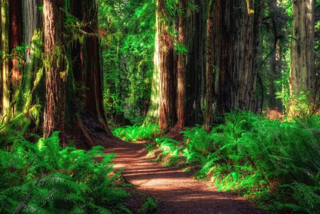 Bear Mountain - Suite 7 Grants Pass Dış mekan fotoğraf